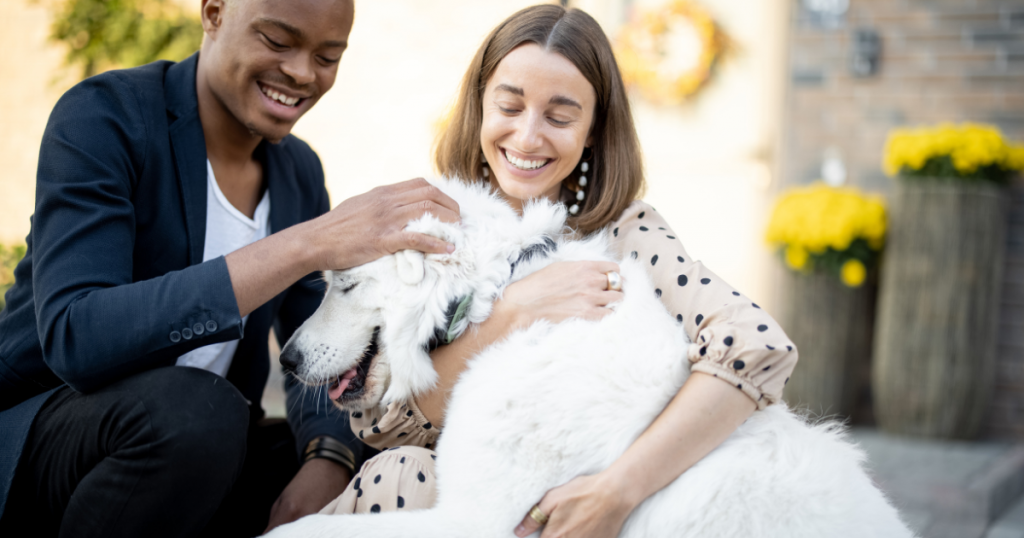 Petsmart Dog Adoption Events this Weekend | See Locations