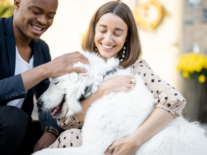 petsmart-dog-adoption-events